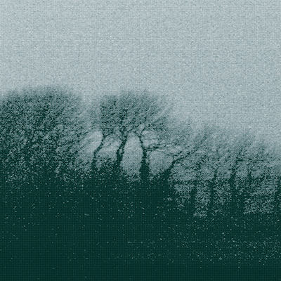 COPSE AT DUSK 1